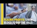 Why Are Big Pharma Companies Paying Vulnerable Americans To Give Blood? | DISPATCH | USA Documentary