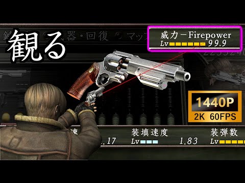 【観るゲーム】ハンドキャノンで無双！プロフェッショナル攻略（HD Project）2K 60FPS【バイオハザード４】