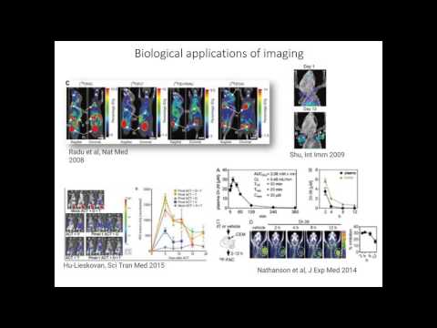 Bernthal and Lee - In Vivo Imaging Toolkit Advancing Preclinical and Translational Science...