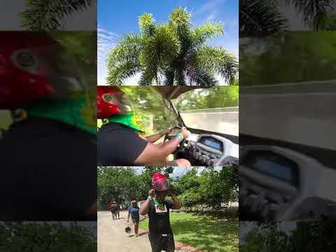 Qb Meaty 2022Jamaica -VLOG