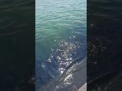 Gomti ghat Dwarka beach