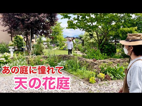 ブルーベルは剪定したほうがいいでしょうか？将来美しい花を咲かせるためにどのように世話をすればよいですか？  庭園