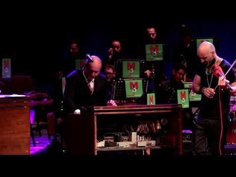 CHAMELEON - James Taylor Quartet & MAXIMAorchestra