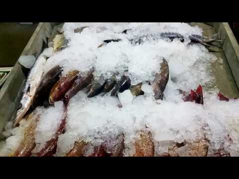 Pascal Junior - She Likes It * Hai Hui OnLife! Surf Control Hikkaduwa