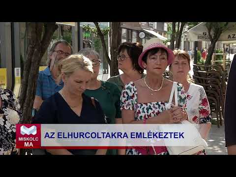 Videó előnézet