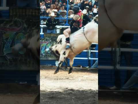 LA SEÑORA MALINCHE, FUERTE Y PODEROSA ANTE EL CHILITOS DE SAN AGUSTIN 😬😱