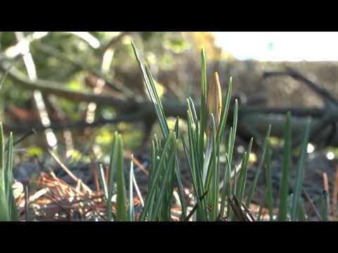 Views of Daviot Feb 2014