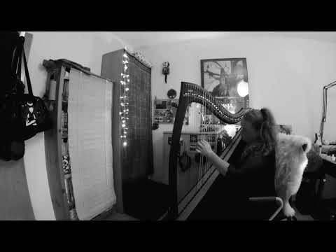 Zentimental Harp Thoughts - Free Improvisation on Harp
