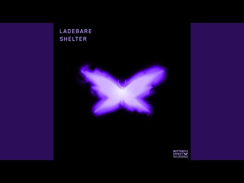 Shelter (Extended Mix)