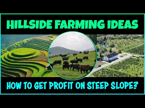 Farming on Steep Slope Hillsides | Agriculture on Mountains | Terrace Farming