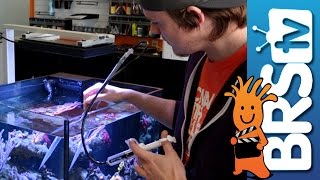 Using Julian's Thing to Target Feed Fish and Corals 