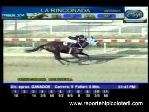 Resumen Sábado 29 de Octubre de 2011 - La Rinconada