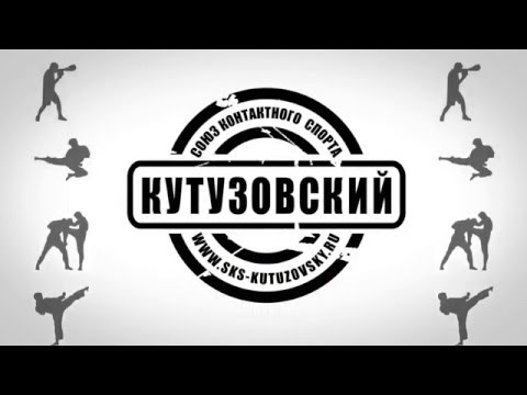 Шкурат Александр турнир W5 professional kickboxing