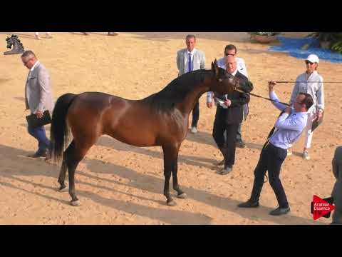 Menton 2018 - Class 4