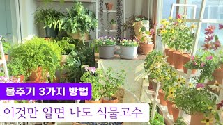 어려운 물주기 이렇게 해보세요~ #뷰가든 #베란다정원 #가드닝 #팁
