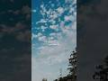 Marham Pehle Bhi Main Status Animal Vishalmishra Lyrics Viral