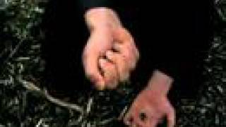 Slaughterhaus Five: After the Harvest - Weapons Not Food