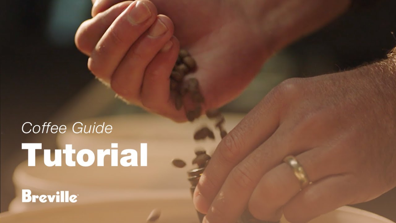 Choosing the right beans 