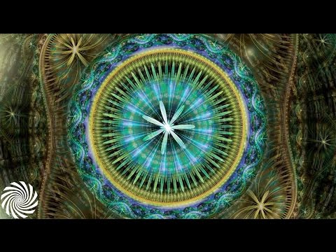 Tribal Roots (November 2012 - Official Aftermovie)