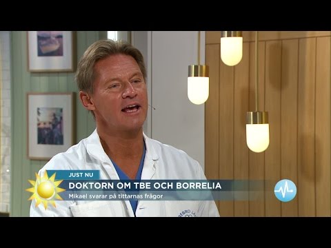 Doktor Mikael: "Kan ha symptom länge efter borrelia"  - Nyhetsmorgon (TV4)