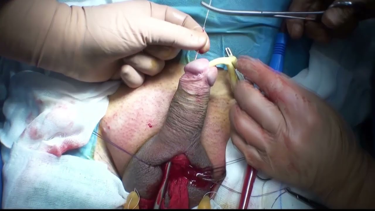 Antonio Di Girolamo-5