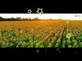 Hai Ishq Mera Sarfira Fasha Na Love Songs