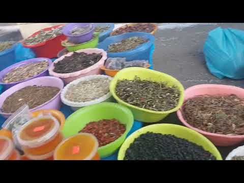 cuộc sống tại Vladivostok Nga