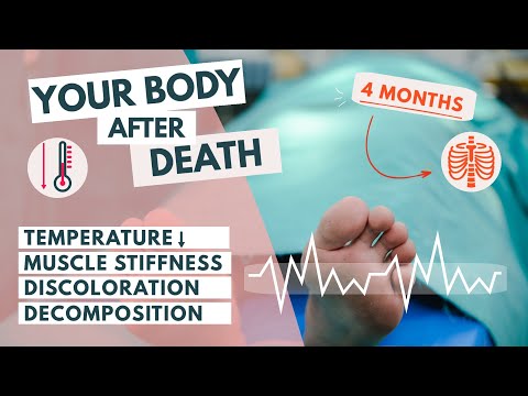 What happens to our bodies after death? | End-of-Life care