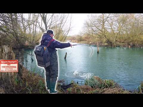 Store vintergedder i mosen