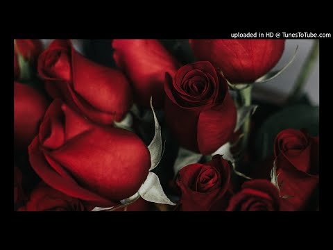 Emma Sameth, WOLFE & Jeremy Zucker - Spin With You