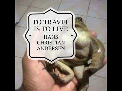 The strongest frog alive