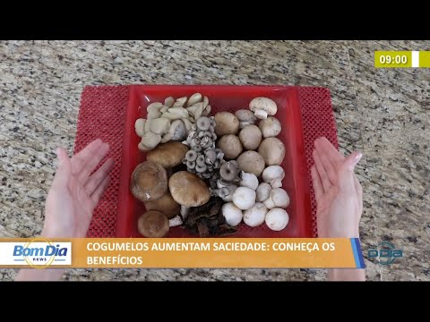 Cogumelos aumentam saciedade: conheça os benefícios 08 07 2021