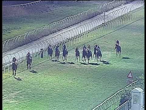 Galoppo 08/01/2020 - 6ª corsa