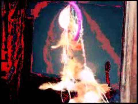 Filtro dos sonhos( teia)