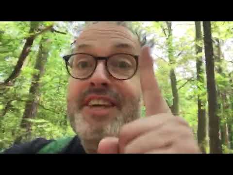 Josef Polášek o Zdeňku Královi