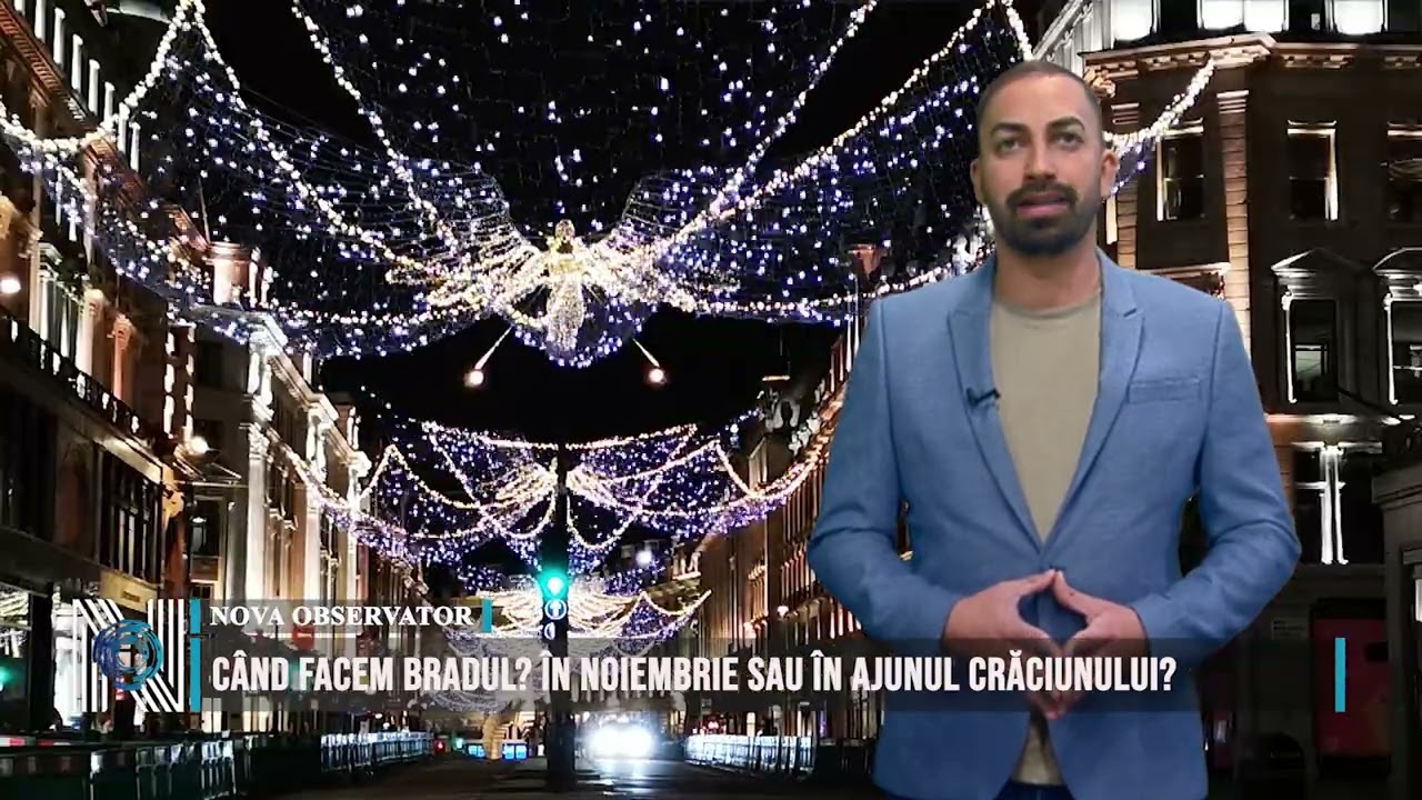 CÂND FACEM BRADUL? ÎN NOIEMBRIE SAU ÎN AJUNUL CRĂCIUNULUI?