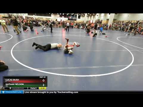 63 Lbs Champ. Round 1 - Lucas Bush, IL Vs Nathan Nelson, MN 28d9