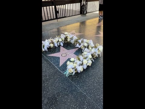 Dolly Parton's Walk of Fame star returns after repairs