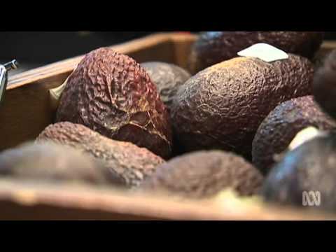 Low Carb Diet: Fat or Fiction?