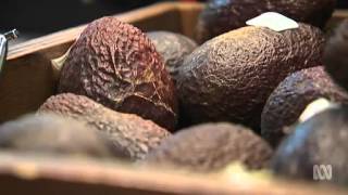 ABC Catalyst - Low Carb Diet: Fat or Fiction?