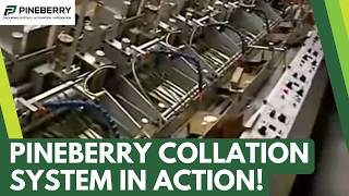 Collation System In Action!