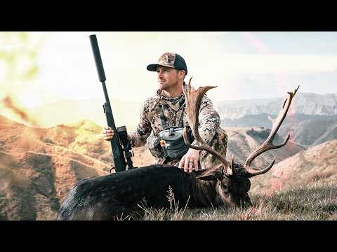 Dream Hunt: Epic Free-Range Red Stag Hunt (New Zealand)