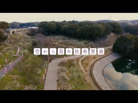 空から見た佐布里池　愛知県知多市（ドローン空撮）