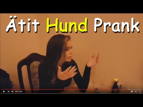 Lurar Emma Andersson att hon ätit hund på vår dejt