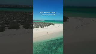 Mon Mois d’Octobre : Quitter mon Appartement  / mon CDD / Partir en Voyage