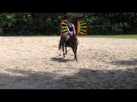 50 ročník Ceny Chodska 2013   Domažlice, 8.6.  2013 stupeň Z