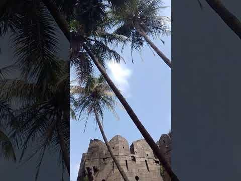 love trees and plants and nature #youtubeshorts #shortsviral #shorts