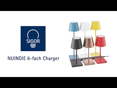 NUINDIE 6-fach Ladestation