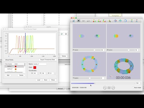 PD Tutorial 5-1: Excitation propagation on a ring