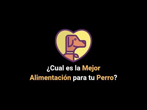 Croquetas X-DOG y Criador Premium | CEDACAN México